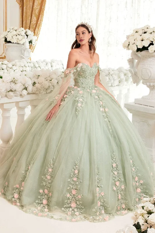 Sparkling Sage Floral Blush Ball Gown Quinceanera Dress Ball Gown Quinceanera Dresses Princess Dress Party Dress with Cape Sparkling Sage Floral Blush Ball Gown Quinceanera Dress Ball Gown Quinceanera Dresses Princess Dress Party Dress with Cape